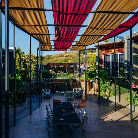 Entre Vides Valle De Guadalupe Valle de Guadalupe Exterior foto