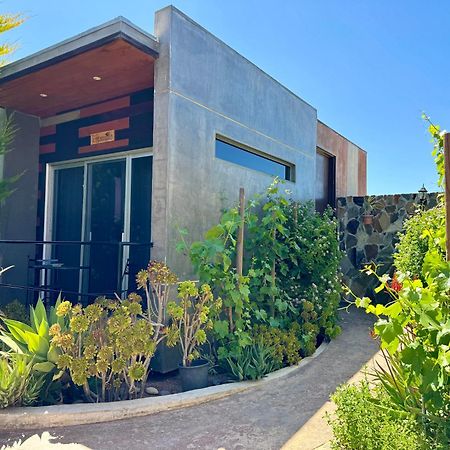 Entre Vides Valle De Guadalupe Valle de Guadalupe Exterior foto