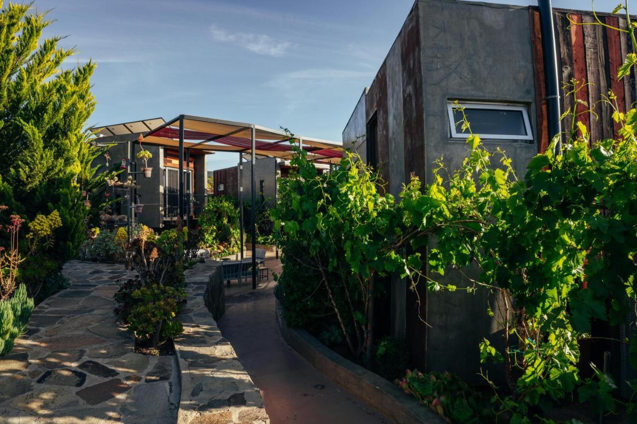 Entre Vides Valle De Guadalupe Valle de Guadalupe Exterior foto