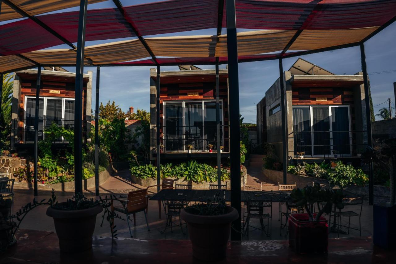 Entre Vides Valle De Guadalupe Valle de Guadalupe Exterior foto