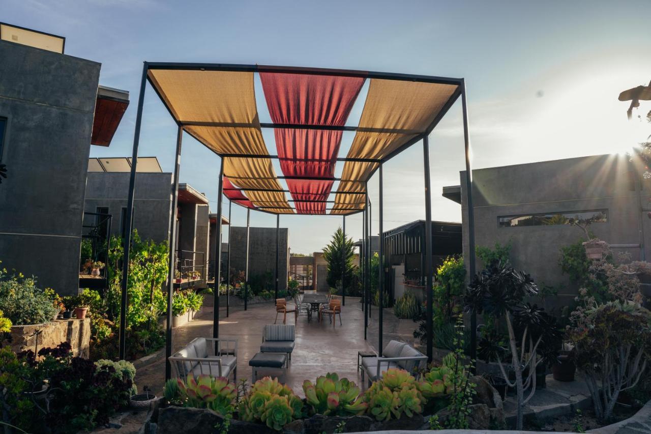 Entre Vides Valle De Guadalupe Valle de Guadalupe Exterior foto