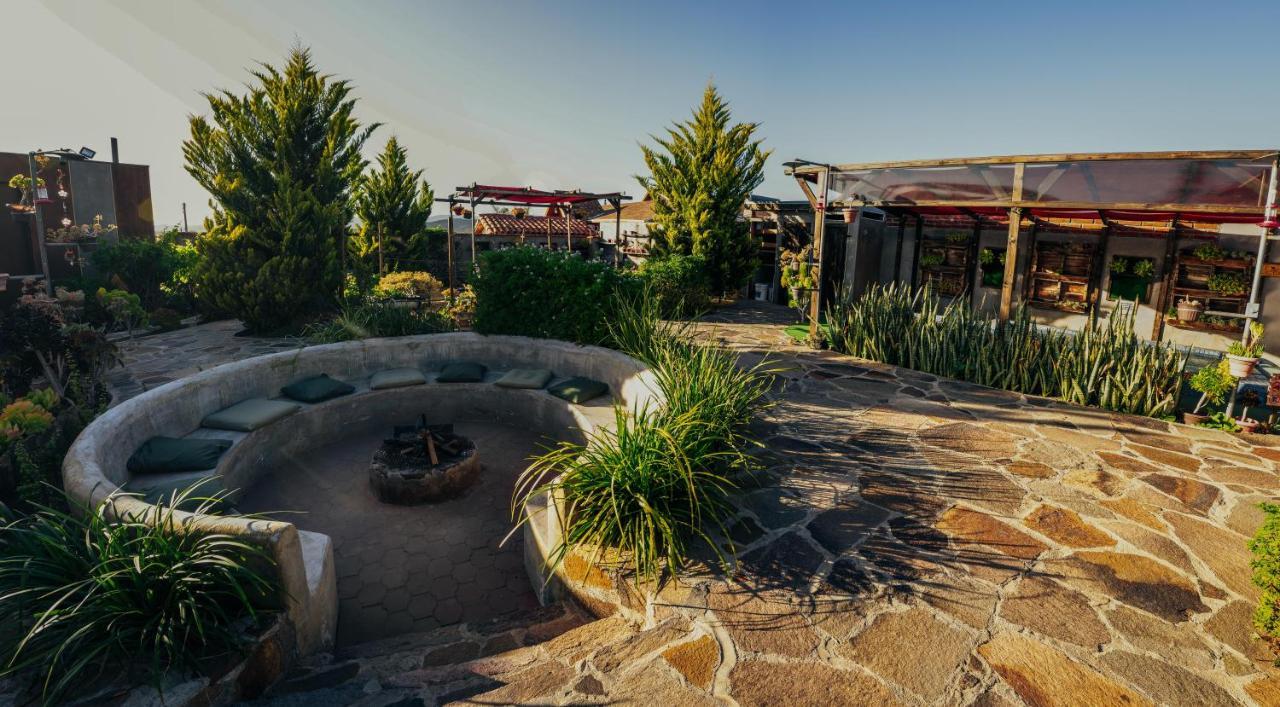 Entre Vides Valle De Guadalupe Valle de Guadalupe Exterior foto