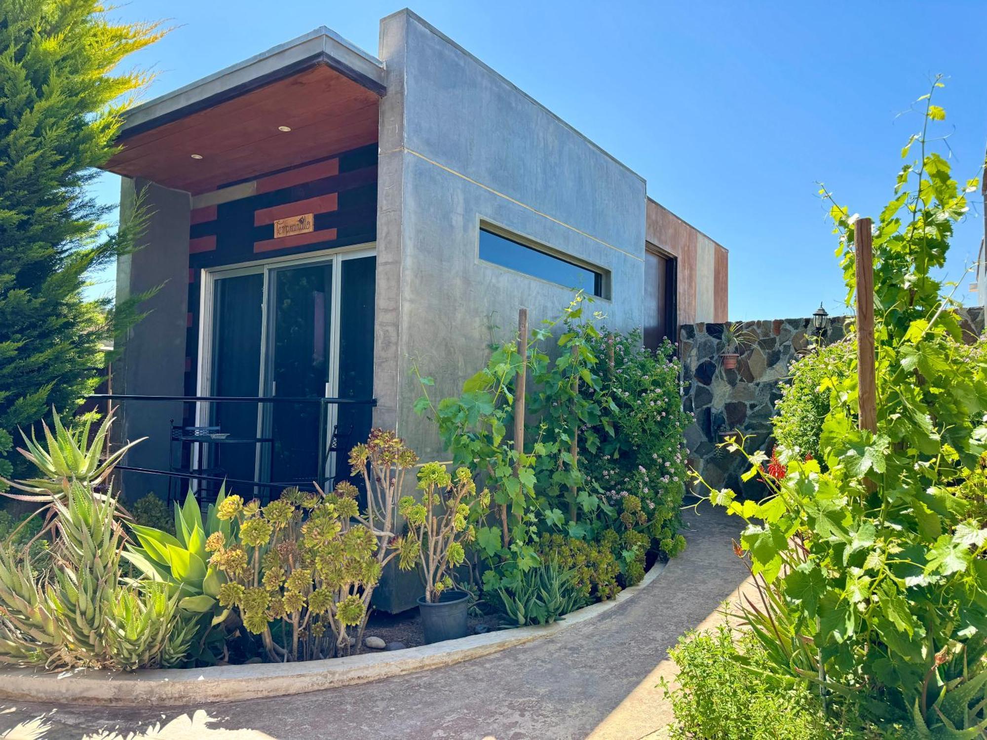 Entre Vides Valle De Guadalupe Valle de Guadalupe Exterior foto