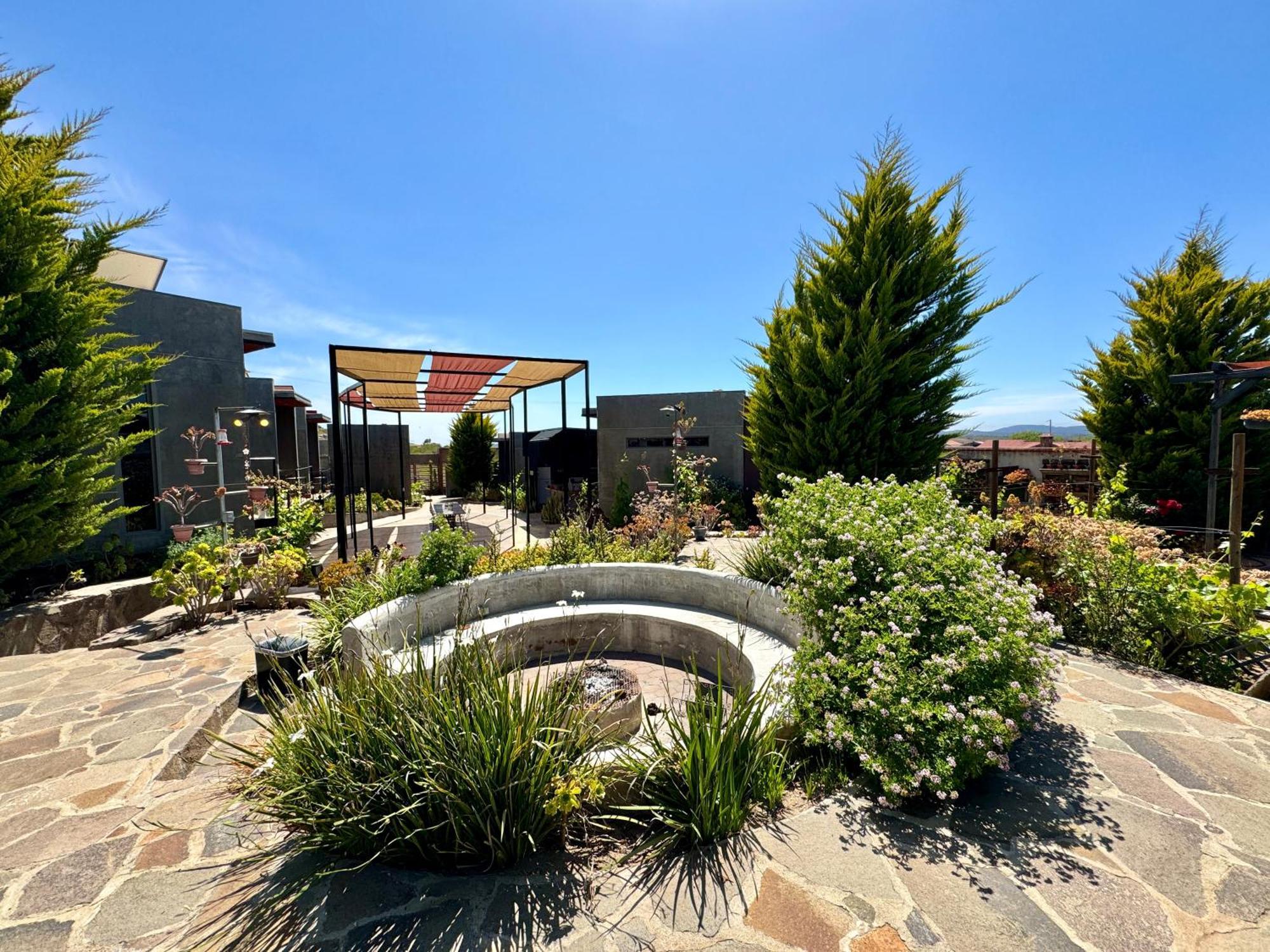 Entre Vides Valle De Guadalupe Valle de Guadalupe Exterior foto