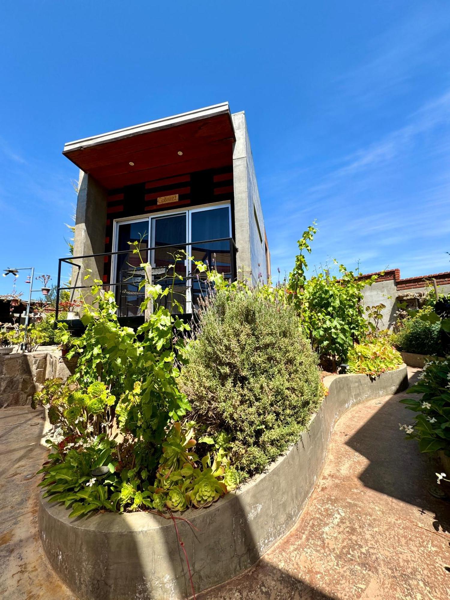 Entre Vides Valle De Guadalupe Valle de Guadalupe Exterior foto